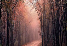 高強(qiáng)水泥修復(fù)地面方法視頻地面修復(fù)新技術(shù)大揭秘！