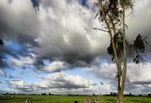 龍游油煙機(jī)清洗設(shè)備｜高效、便捷、無(wú)污染、省時(shí)省力